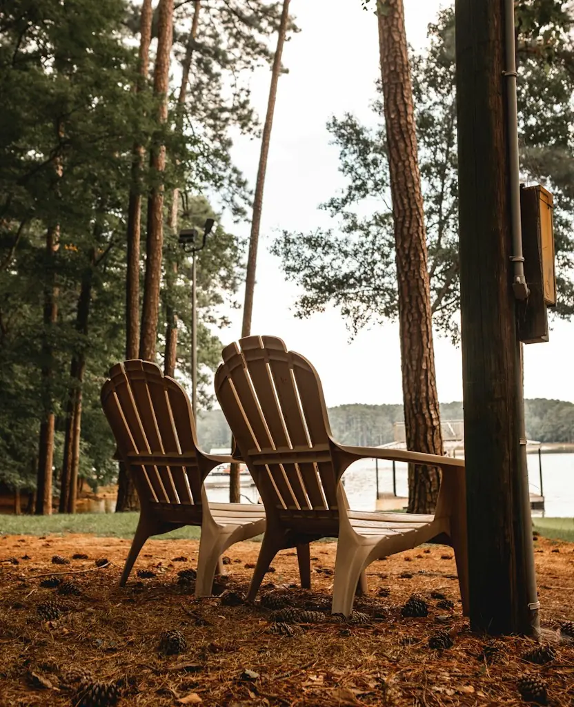 Two wooden chairs under pine trees above a lake